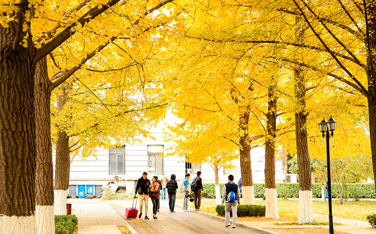 北京科技大学校园风采